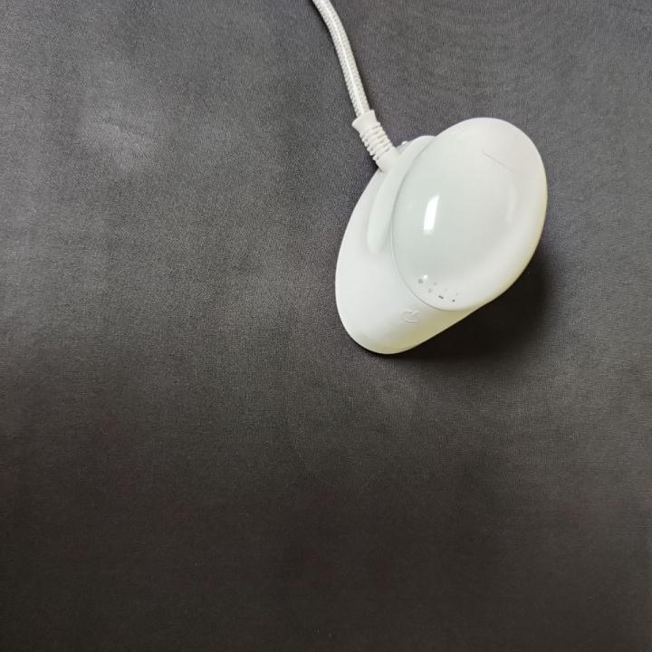 飞乐思小熨斗好用吗,飞乐思多功能熨斗