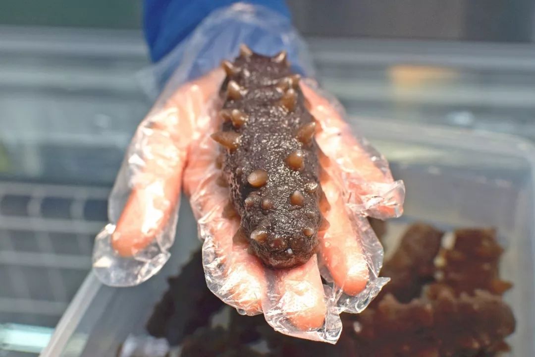 山姆新店活动码,山姆会员店宝藏单品