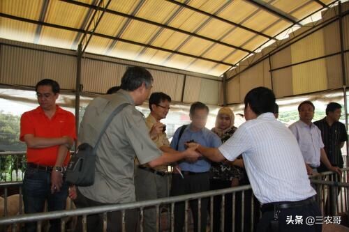 乡村干什么最有前景赚钱,农民打工最赚钱的方法排行榜