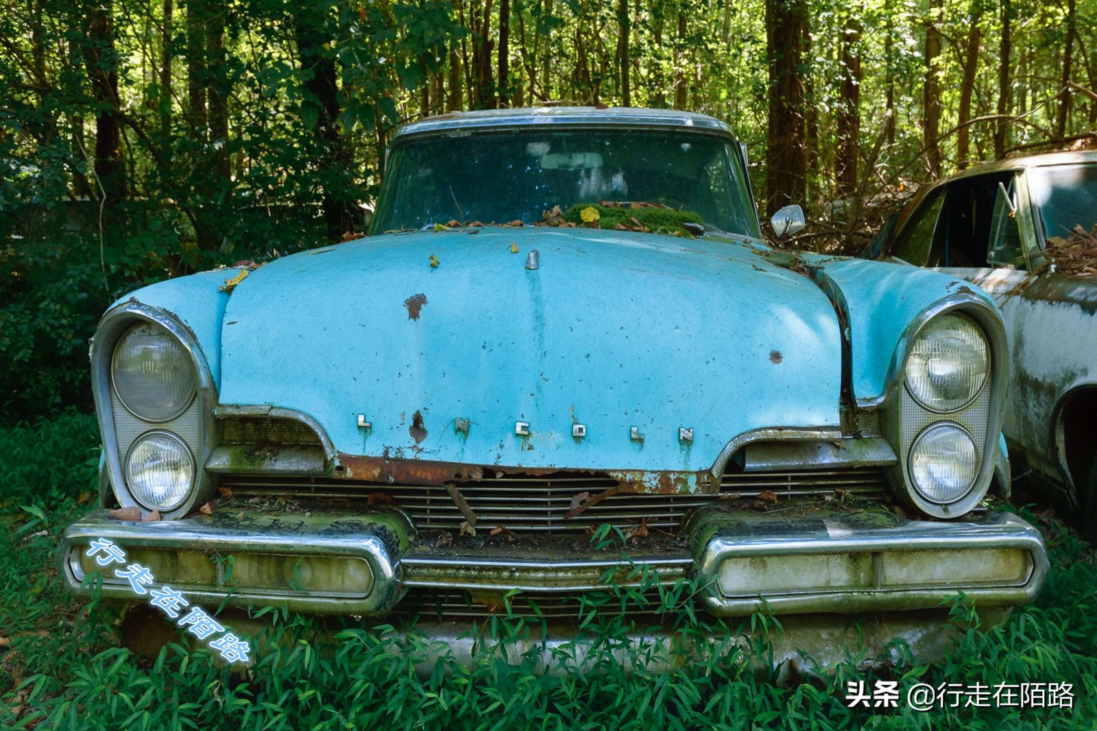 最值钱的废品,最值钱的废品回收