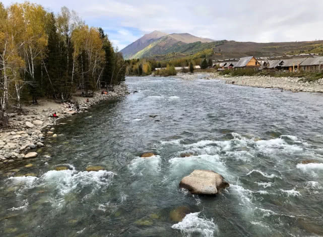 阿勒泰地区，追寻这种冷水溪流中的精灵“花翅子”现在已经禁钓