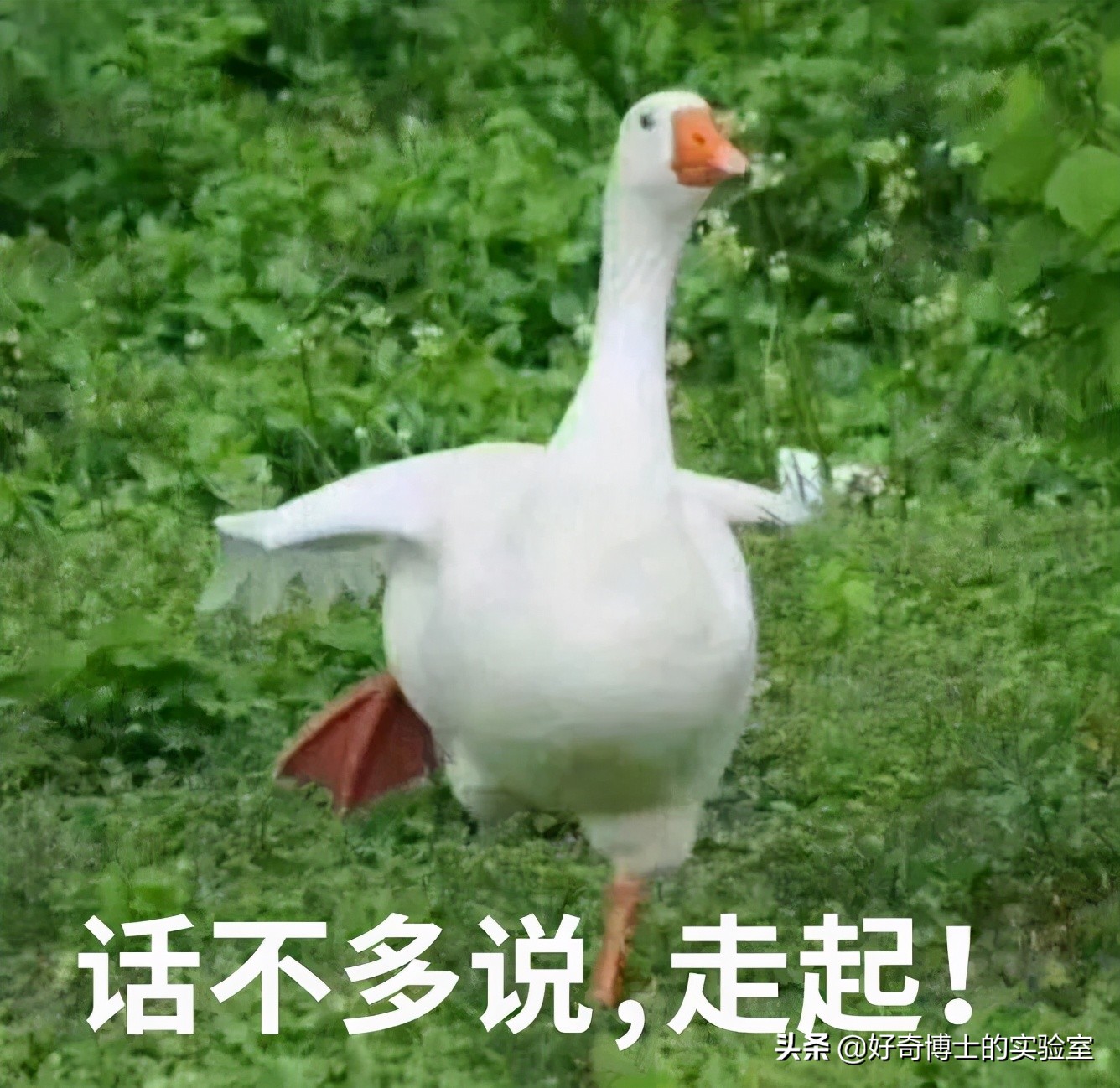 如何科学的判断自己的智商初二,怎么判断自己的智商