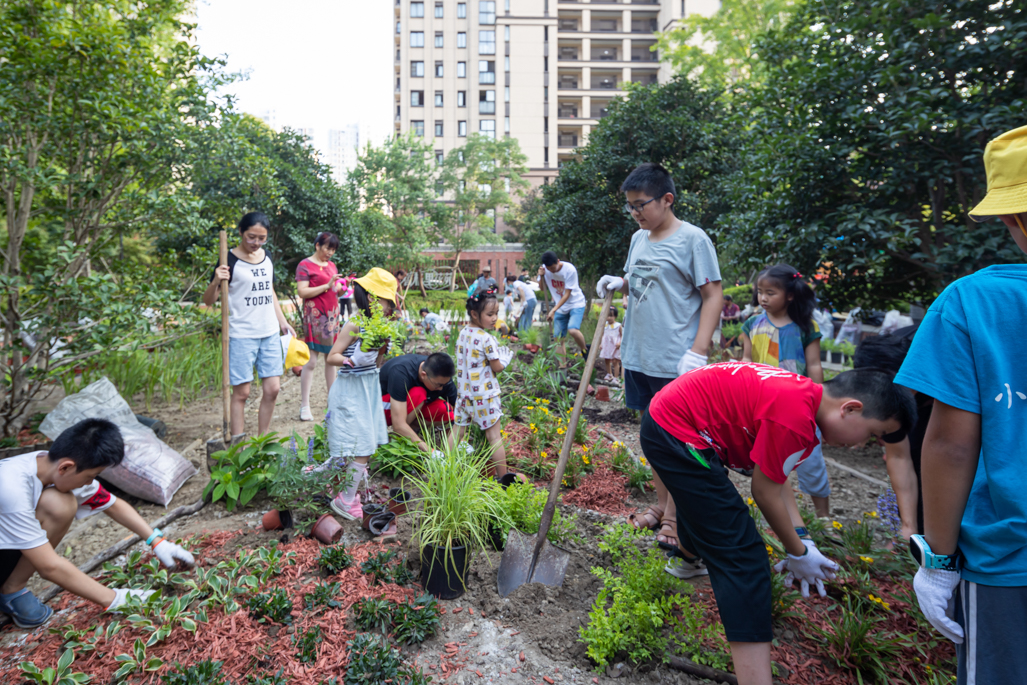 玛丽分享|香格里社区共享花园诞生记