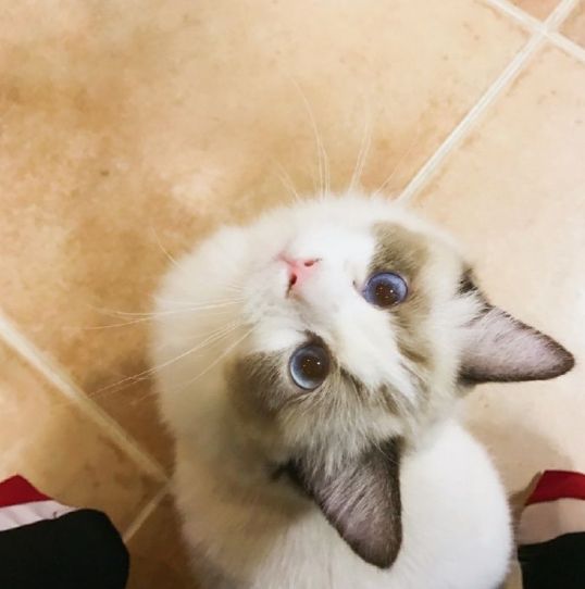 朋友去泰国代购什么好,泰国化妆品代购好做吗