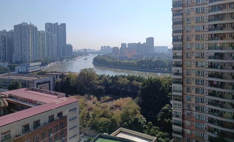 整理到眼瞎，250万如何买荔湾、白云、番禺