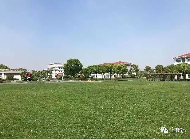 上海最好的十大民办初中,上海各区的顶级初中和一流初中