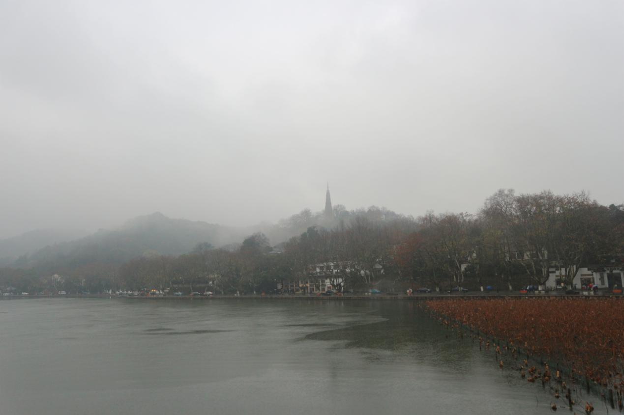 太美了翻译成诗词会怎样？奉上独家秘笈，敢不敢来体验一下