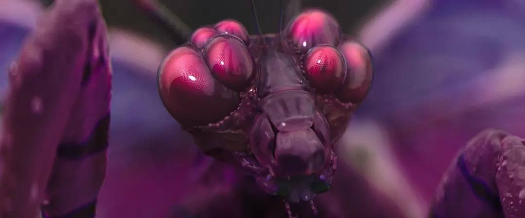 沉沦了10年，这3部B级恐怖片，或将是这位昔日影帝的出路