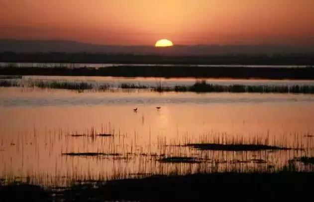 美不美看山水的视频,美不美看河水