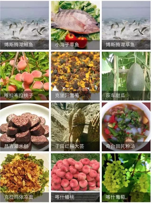 南北疆的特产有哪些,盘点十大新疆的特产