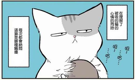 假如自己变成猫是什么体验,从人类变成猫是什么体验