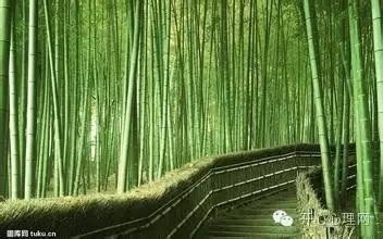 常见的有规律的事物,一些规律完整版