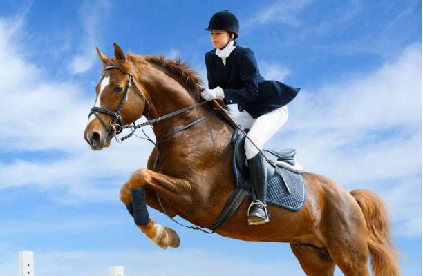 与马赛跑,与马赛跑不如骑在马背上