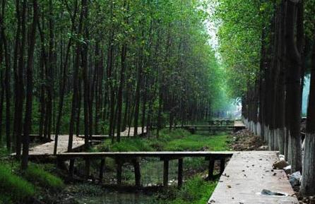 合肥蜀山攻略必去的地方,合肥周末去哪儿玩儿