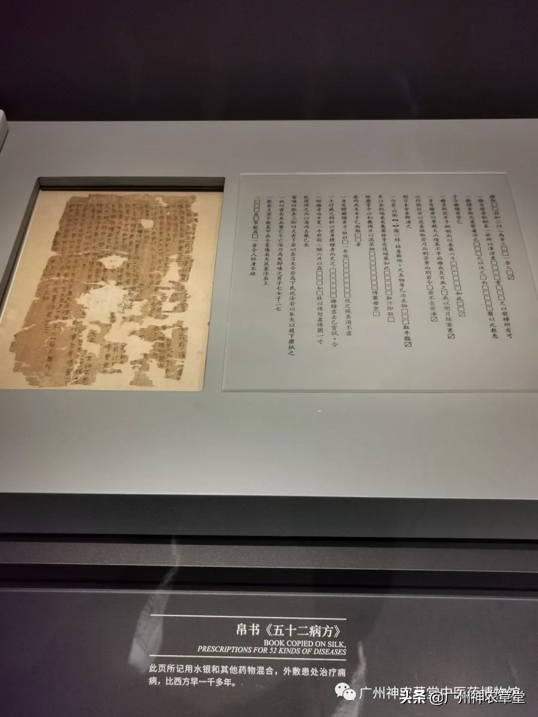 艸堂｜传说中可以挂太阳的树，草堂有