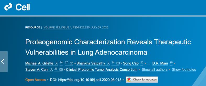 肺腺癌13个突变基因首次公布,肺腺癌细胞图