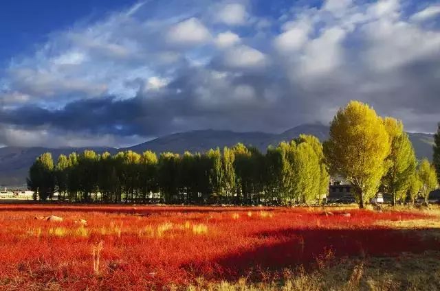 稻城亚丁白云,稻城亚丁风景没有想象中的那么美
