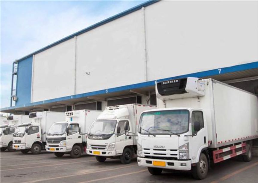 运输鲜活水产品中途死亡,甲鱼零售市场