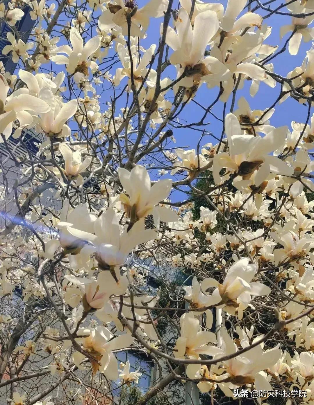 防灾“治疗术”，治愈不开心！