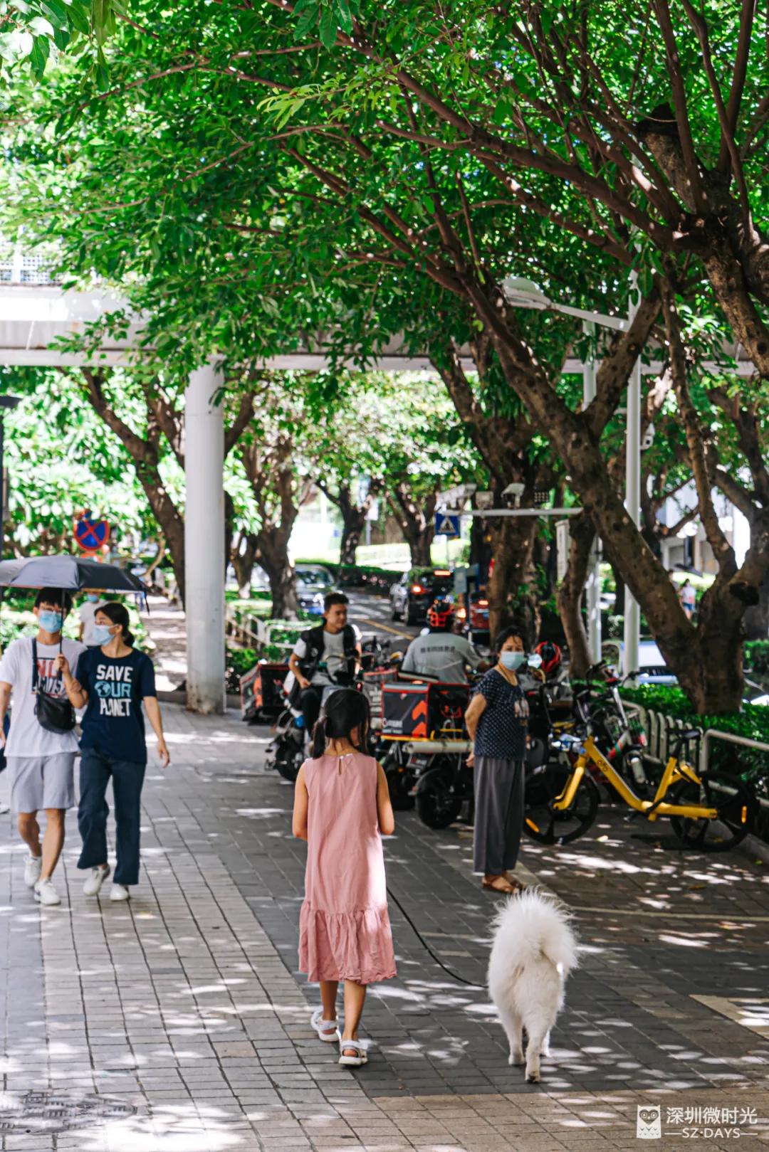 华侨城一期西区,华侨城发展历程