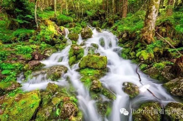 旅行用的照相设备,旅行摄影用什么设备