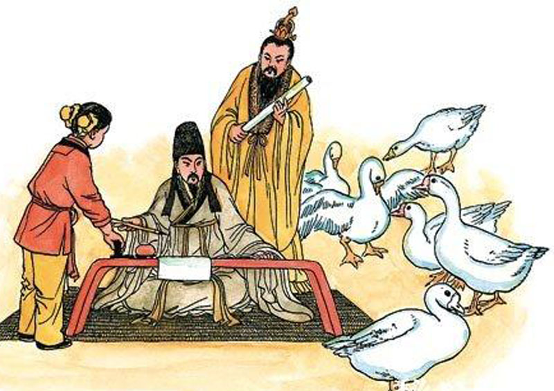 养鹅人的创业故事,养鹅的亲身经验