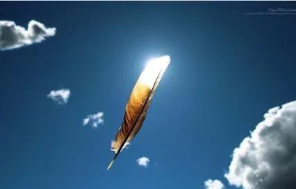 职业生涯规划分享专家,职业生涯规划大咖