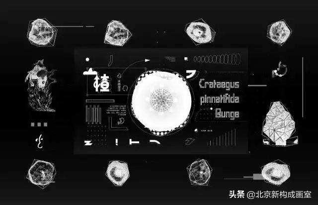 美术专业就业前景排名前十专业,美术专业方向以及就业前景