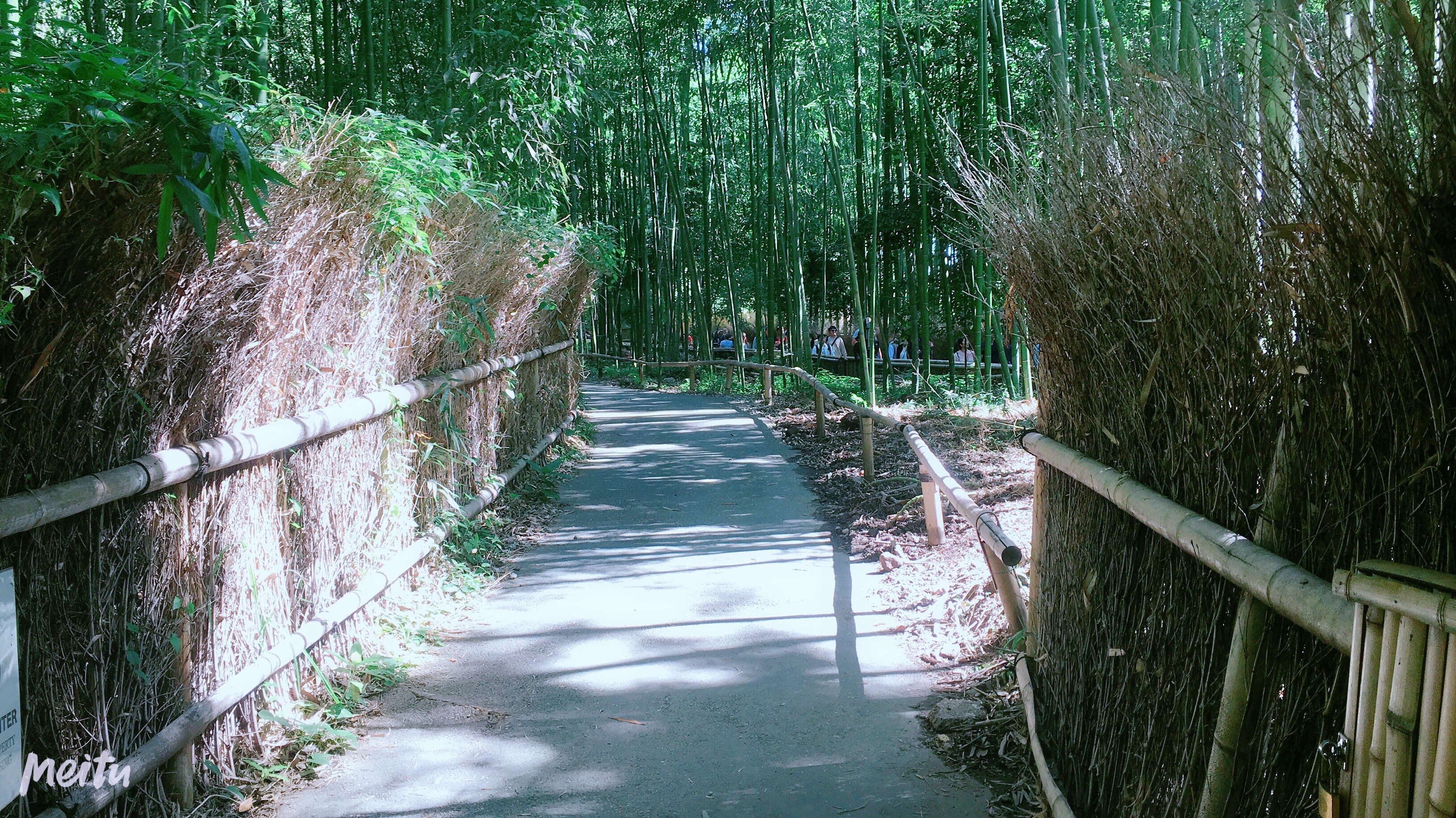 京都之旅探寻古都的魅力与美景,日本旅游东京京都霓虹初见