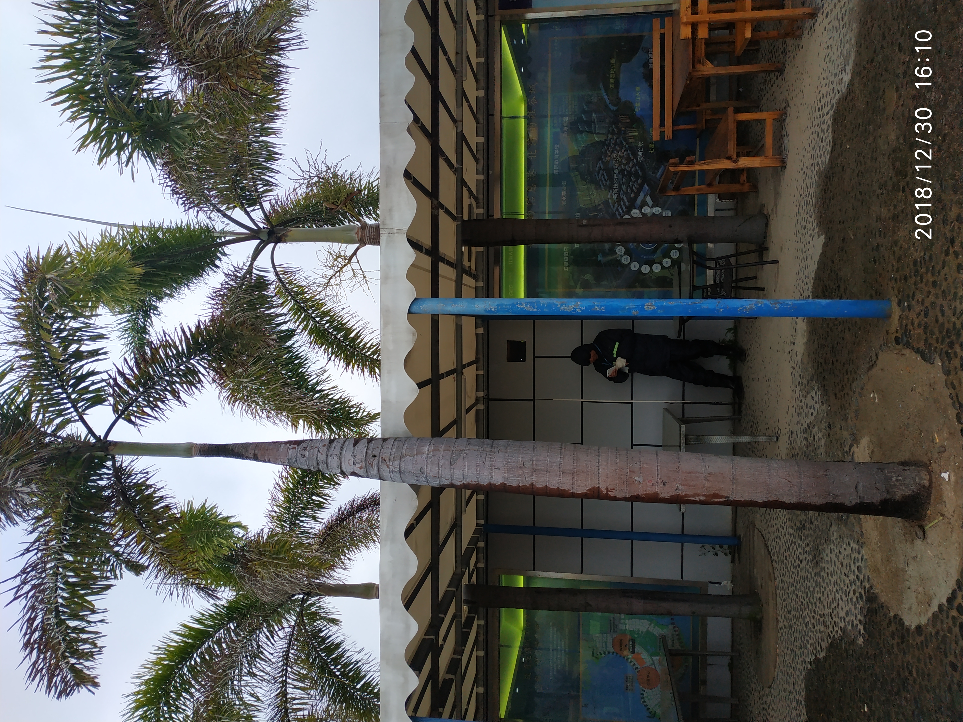 今年北海有多冷——银滩上的北海人如是说，要去玩海的听我说