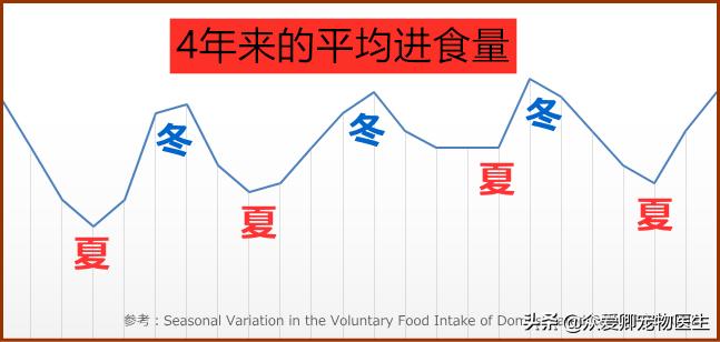 猫狗食欲下降,春天布偶猫不好吃饭怎么回事