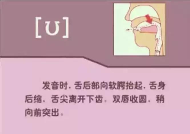 音标发音48个正确发音口型,小学英语音标发音48个口型