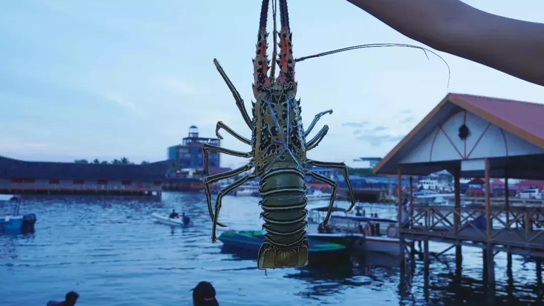 亚庇和仙本那七日旅游攻略,探寻星辰大海