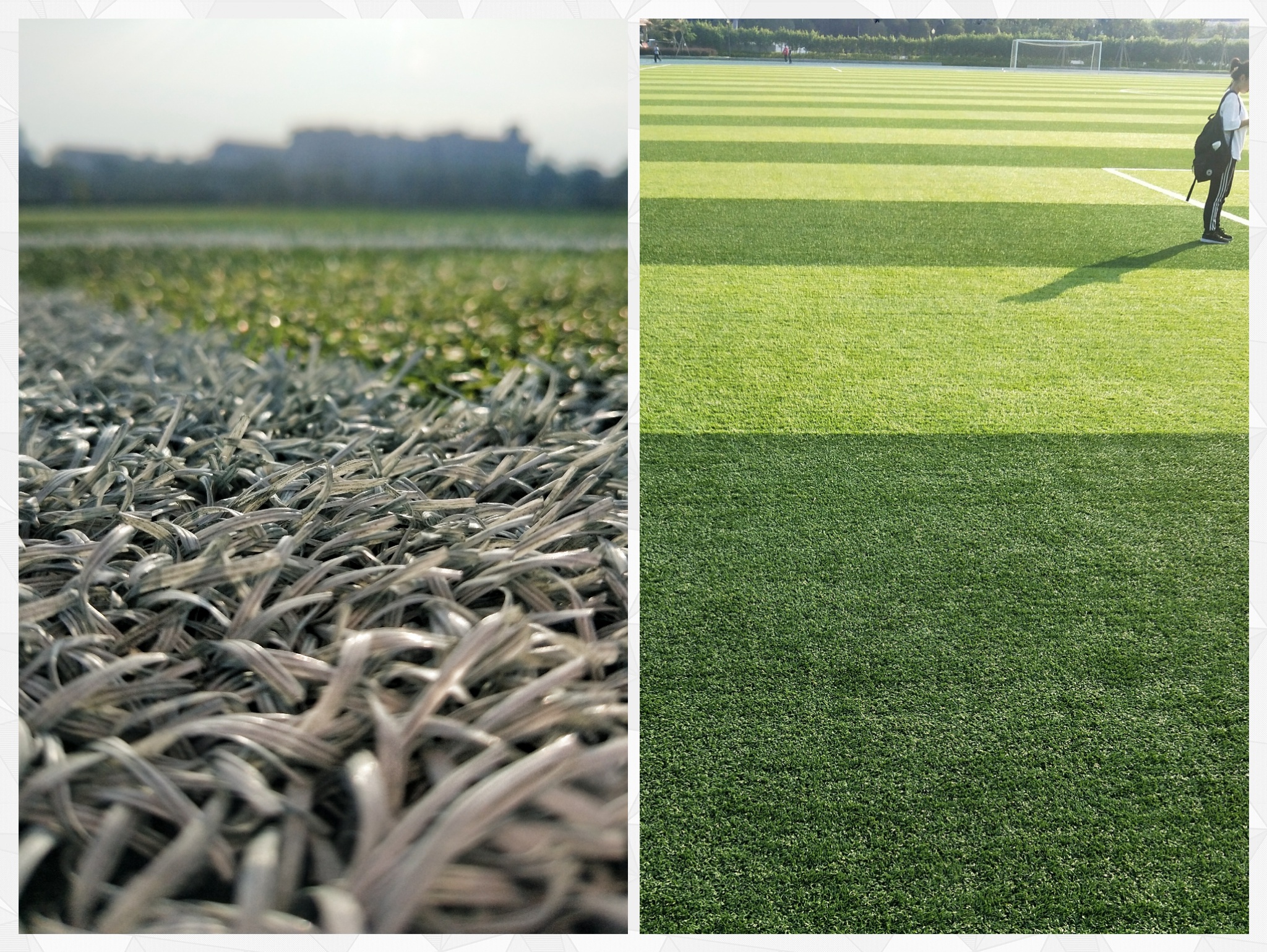 质感摄影视频,质感也是微距摄影的表现