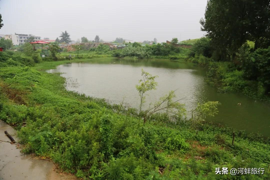 南阳赊店古镇的来历,四大古镇与赊店镇