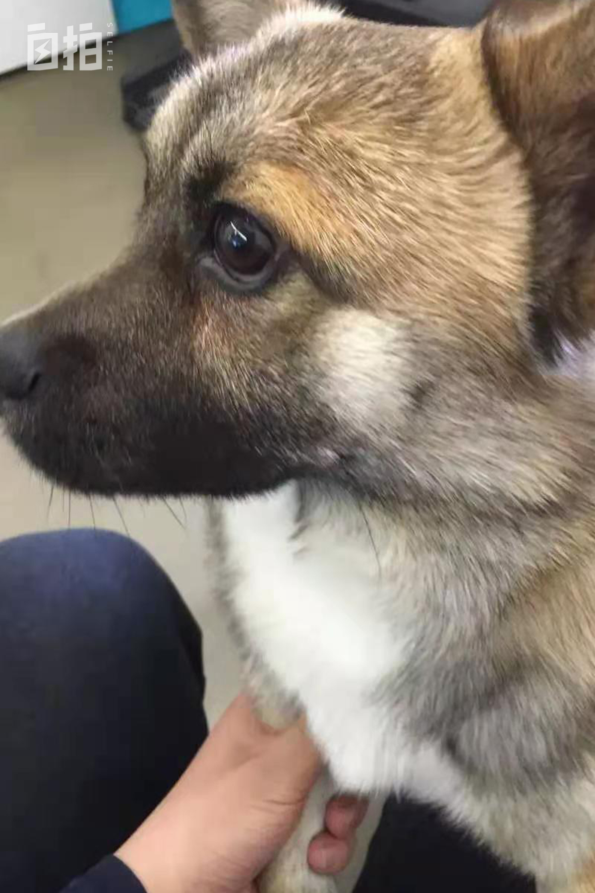 北漂5年买了人生第一套房子,自述一个北漂的买房经历