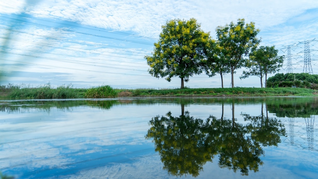 鏂囨槑鍩庡競鍒涘缓缁煎悎鏁存不鏂规,鏂囨槑鍩庡競鍒涘缓鏁存不鏂规