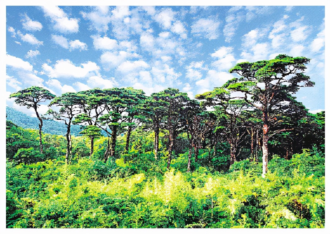 桂林生态文明建设视频素材,桂林生态保护