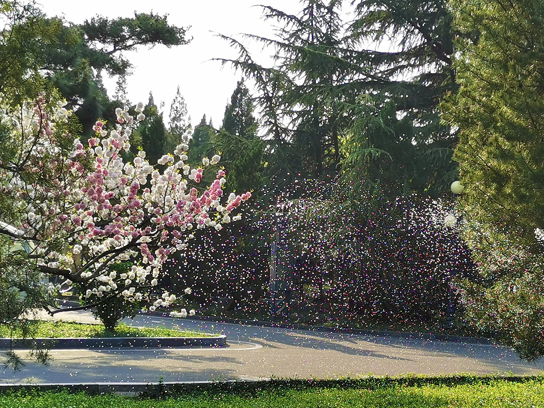 南郊美美,南郊宾馆的风景