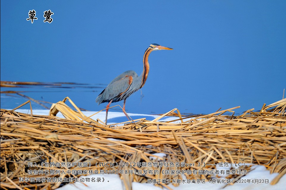 榻愰綈鍝堝皵瀚╂睙涓滄按鐝嶇鍏洯,榻愰綈鍝堝皵瀚╂睙涓滄按鐝嶇婀垮湴鍏洯