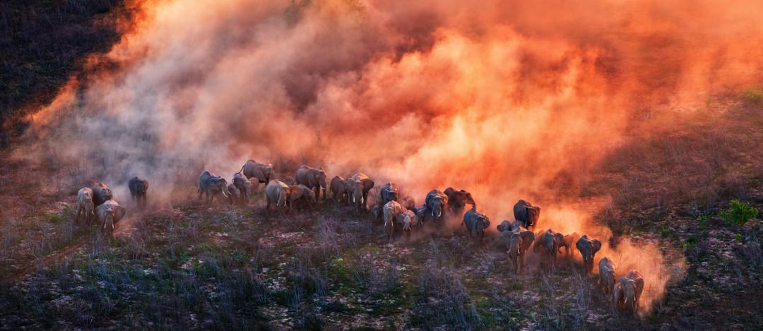 好利来算不算小蛋糕,好利来蛋糕地位