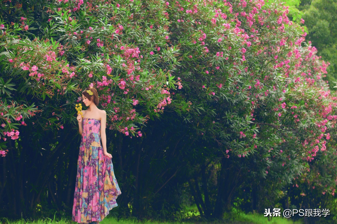 photoshop中进入快速蒙版,ps终极技巧如何使用快速蒙版工具