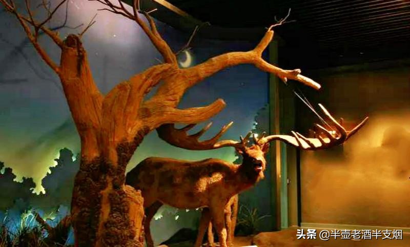 种花家农耕,种花家5000年历史