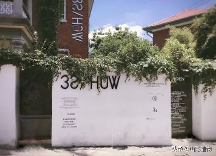 旅行的地方福建,福建省内说走就走的旅行