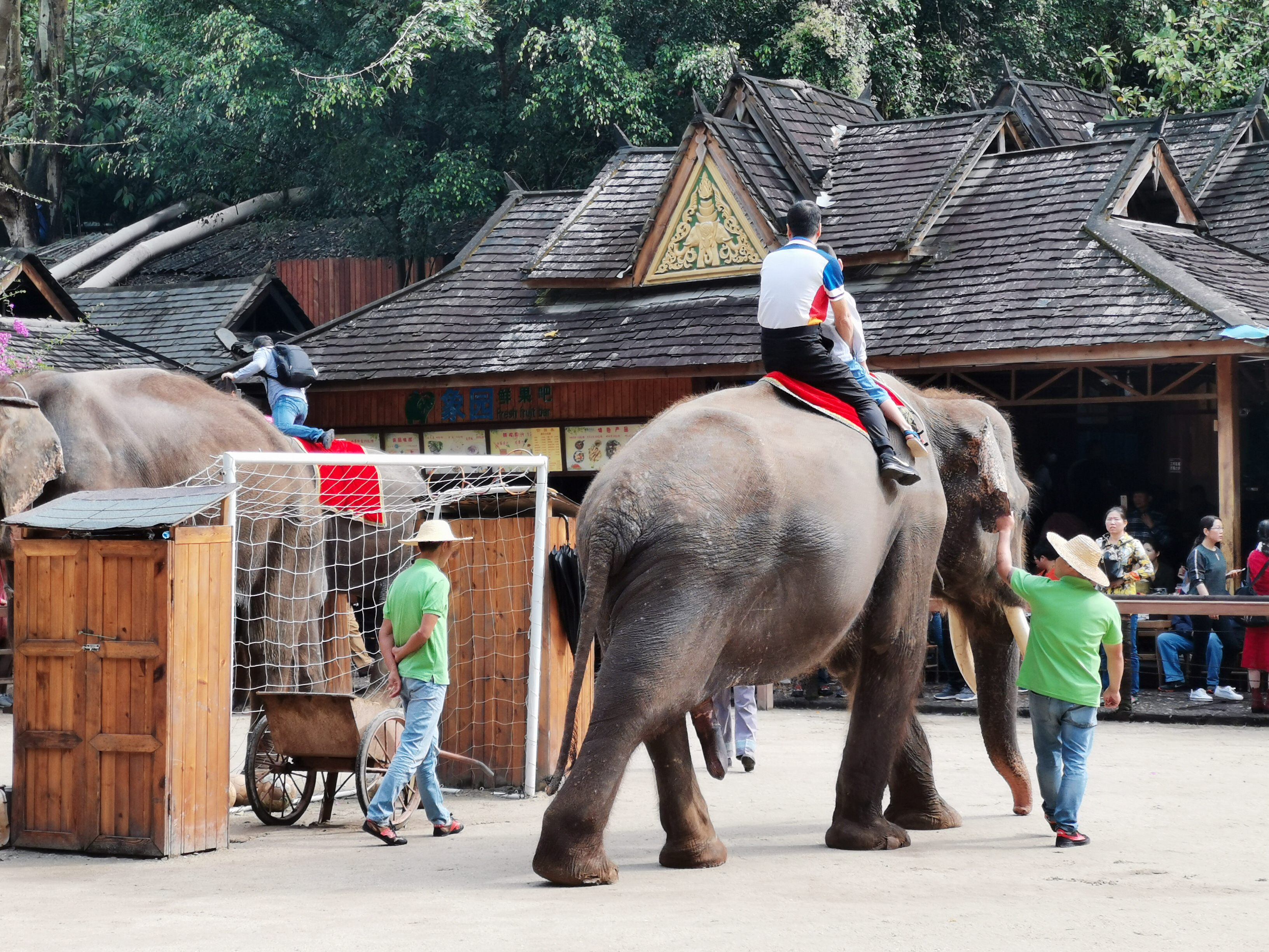 了解西双版纳的风俗和民族文化,西双版纳哈尼族特色民族文化