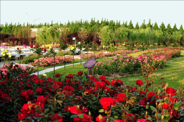 上海周边休闲自驾游攻略路线推荐,上海周边旅游自驾游攻略路线大全