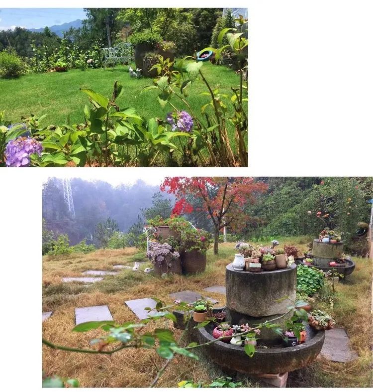 冬去春来，愿你无恙，疫情退去，养肉依旧！