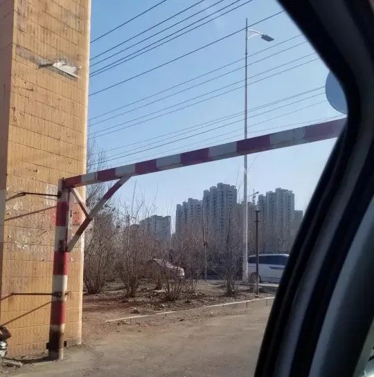 曲婉婷近期,曲婉婷最近