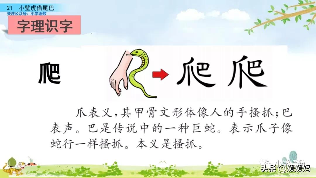 一年级小壁虎借尾巴原文图片,小壁虎借尾巴优质课一等奖