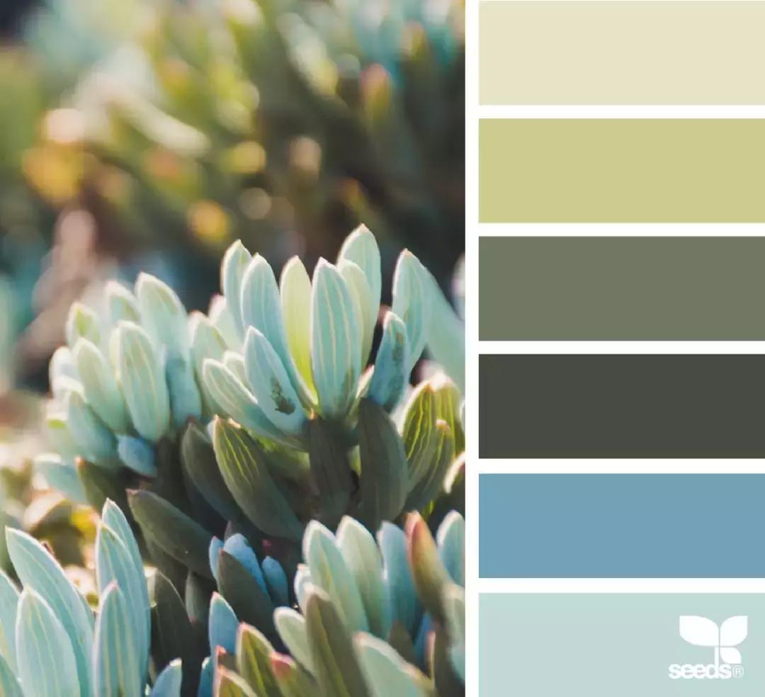 6种配色色卡,设计师最全万能配色色卡